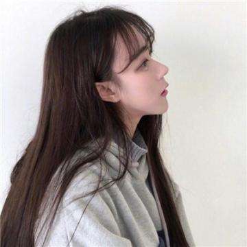 香港2023正版免费资料